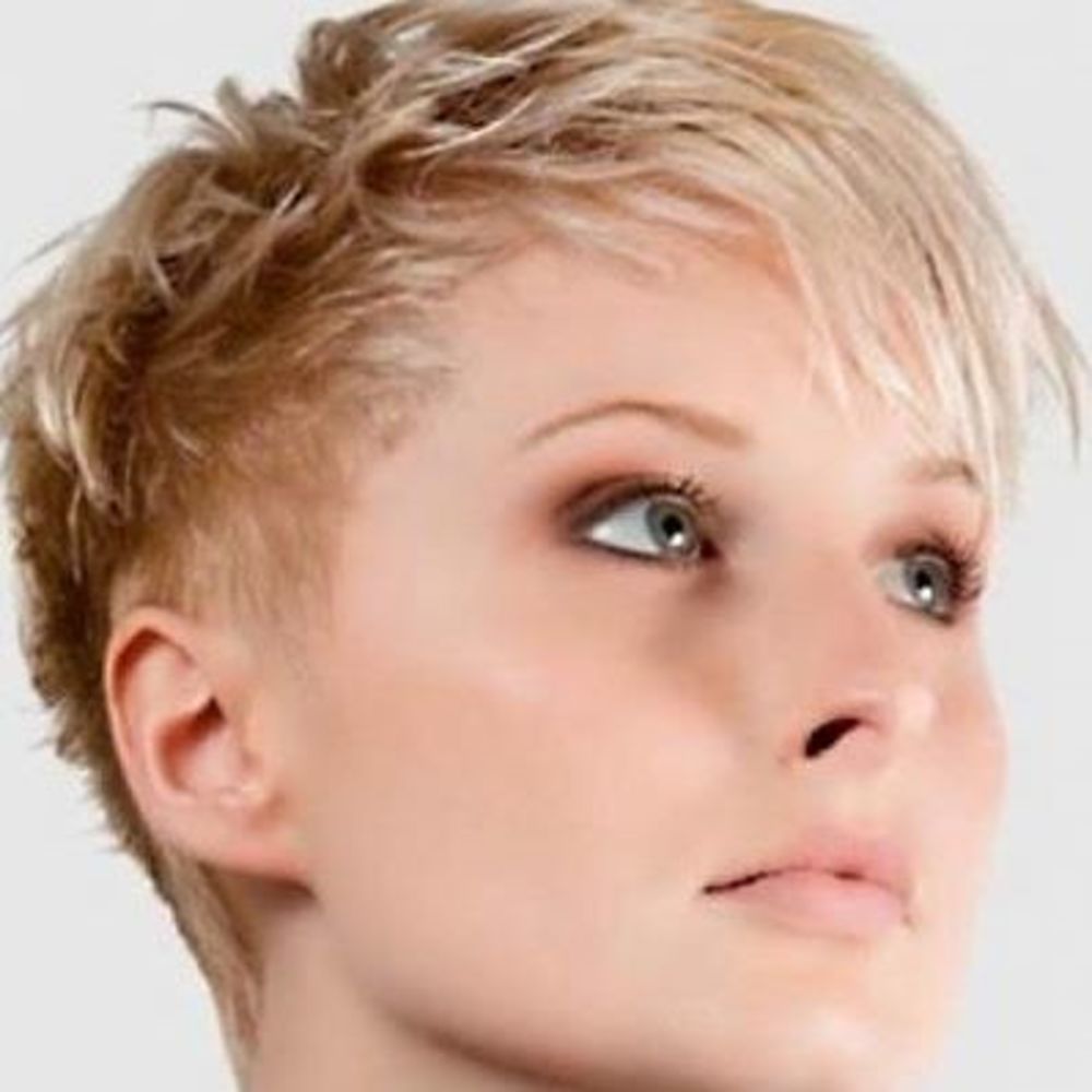 Meet your Posher, Barbara j